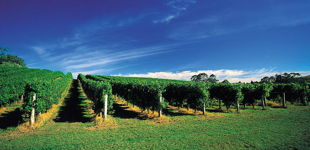 Vineyard Cottages - Kumeu Waimauku Eksteriør billede